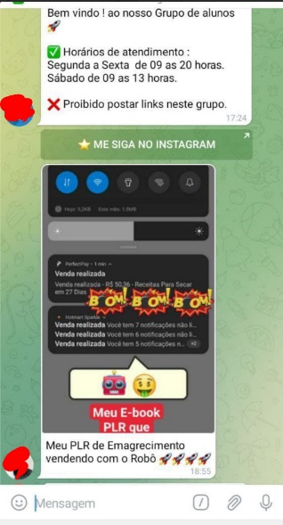 Robô De Leads Telegram funciona - resultados de clientes 